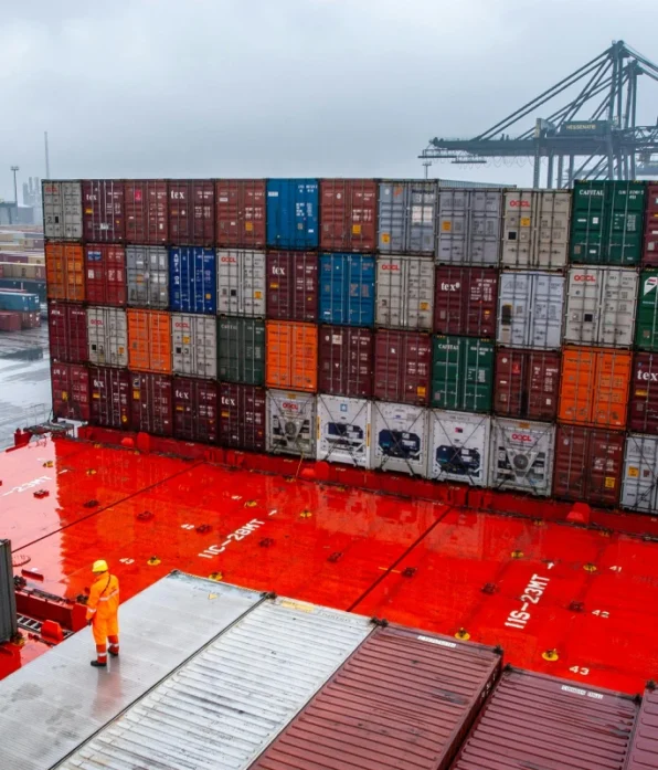 portfolio-11 portfolio-11